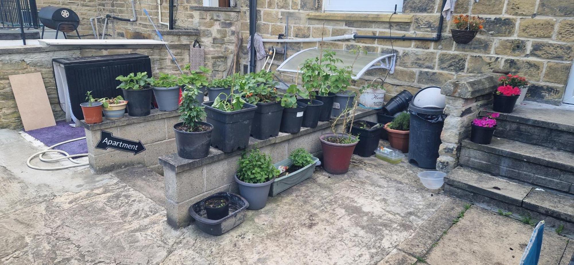Joyful Place Huddersfield Luaran gambar